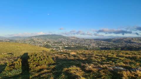 Hauora Reserve — photo 3