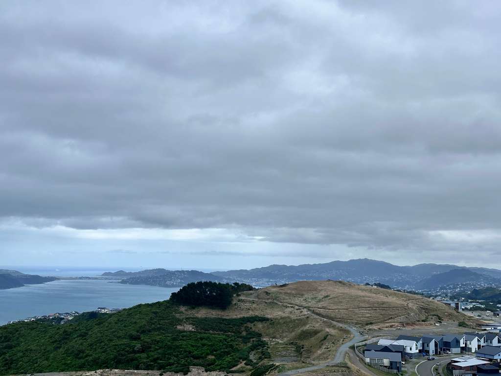 Hauora Reserve