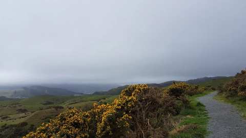 Hauora Reserve — photo 2