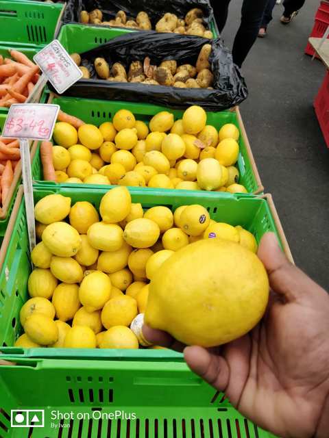 Newtown Fruit and Vegetable Market — photo 3