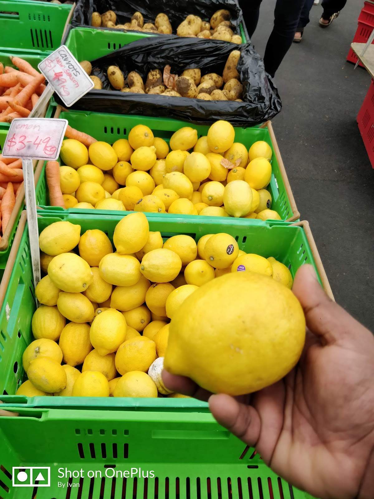 Newtown Fruit and Vegetable Market — photo 3