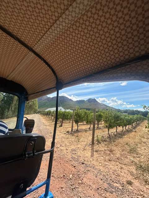 Tuk Tuk Franschhoek — photo 3