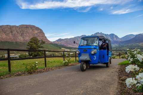 Tuk Tuk Franschhoek — photo 2