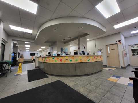 VCA Milwaukee Emergency Center for Animals — photo 3