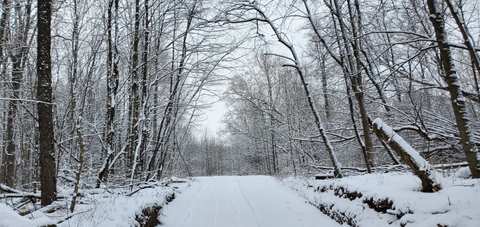 Fox Hill Nature Preserve - Nordic Trails — photo 4
