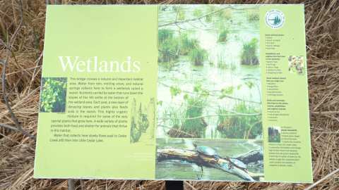 Fox Hill Nature Preserve - Nordic Trails — photo 5