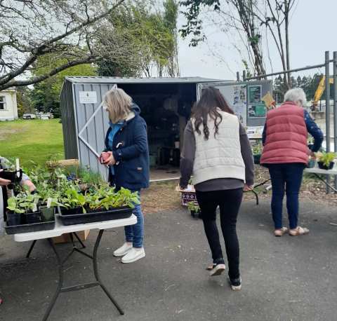 Grow On Katikati - Community Gardening, Seeds, Seedlings, Skills — photo 2