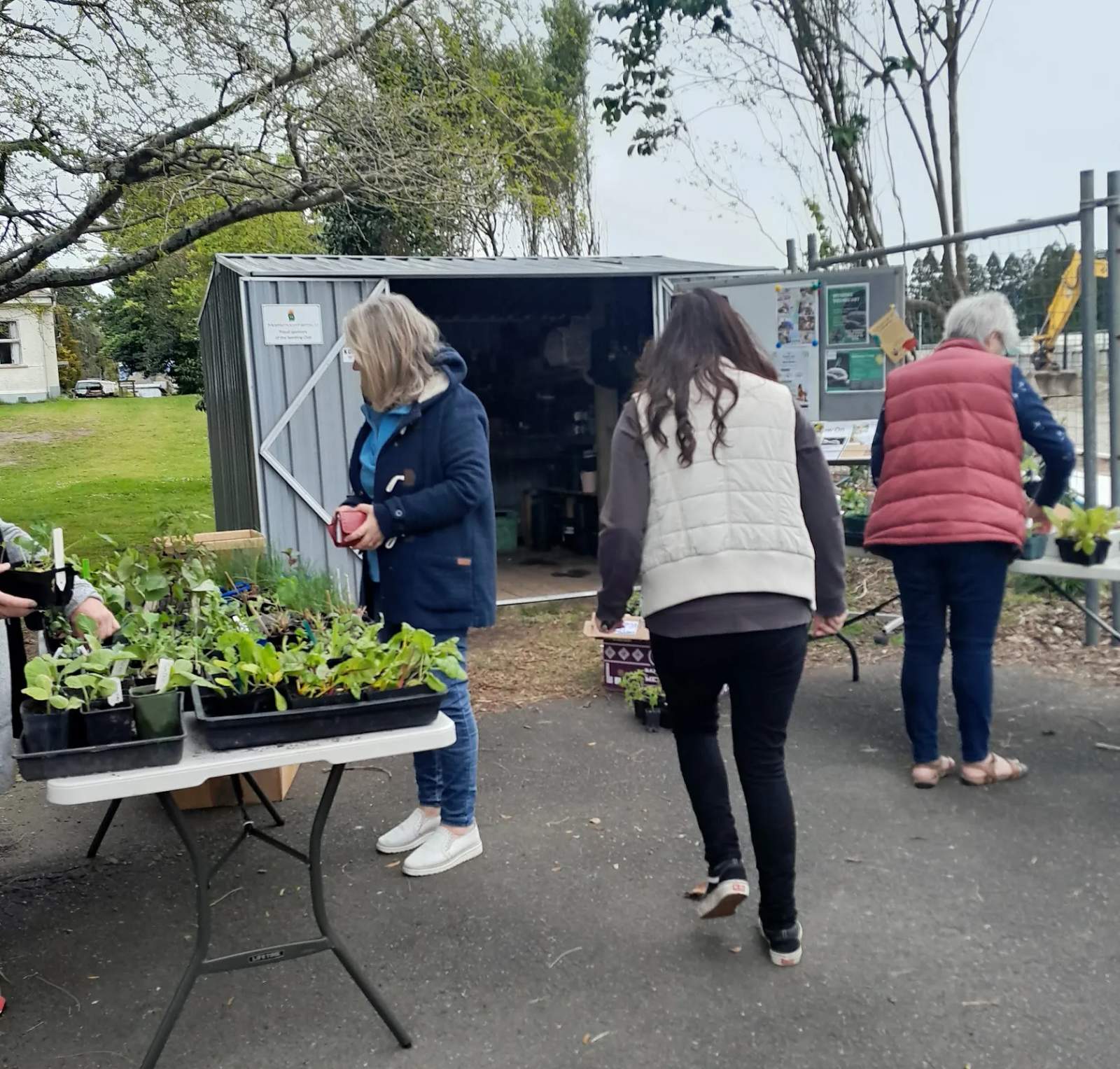 Grow On Katikati - Community Gardening, Seeds, Seedlings, Skills — photo 2