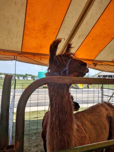 Washington County Fair Park & Conference Center — photo 5