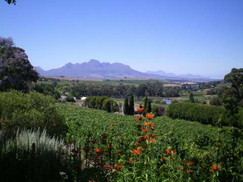 Devon Valley Hotel - Stellenbosch — photo 5