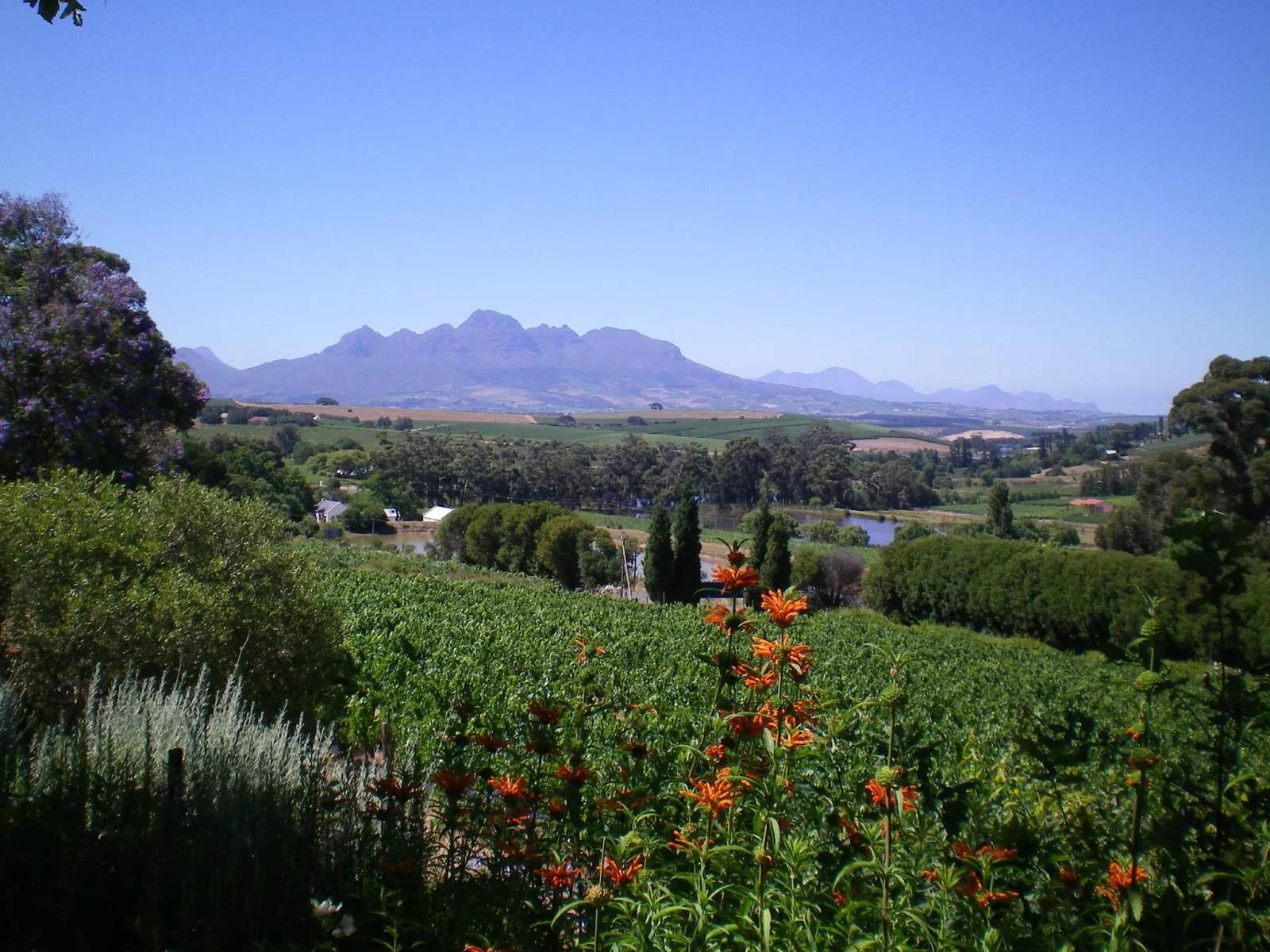 Devon Valley Hotel - Stellenbosch — photo 5