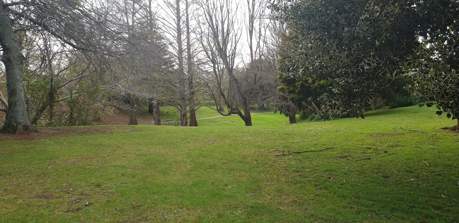 Vesey Stewart Recreation Reserve — photo 1