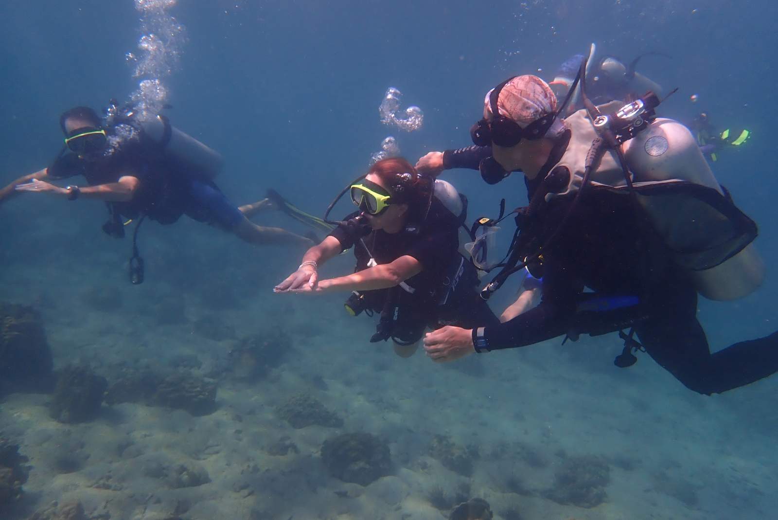 Paradise Divers Koh Kood — photo 2