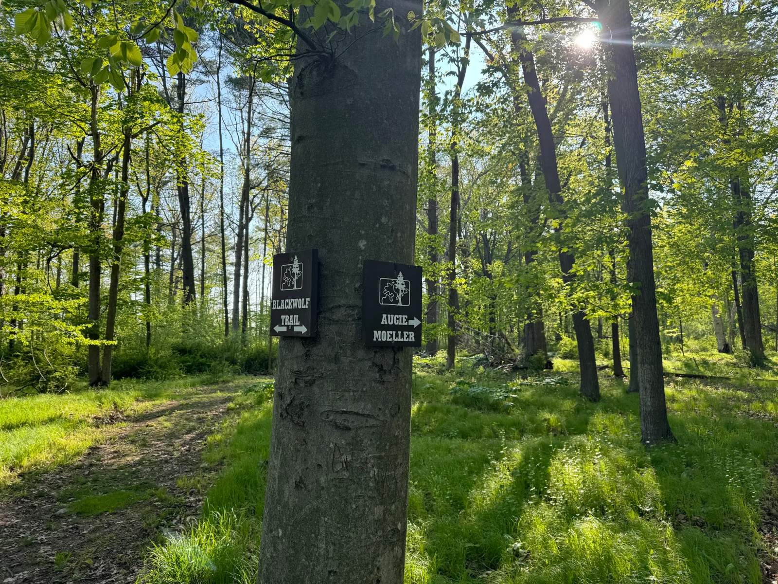 River Wildlife Hiking Trails — photo 1