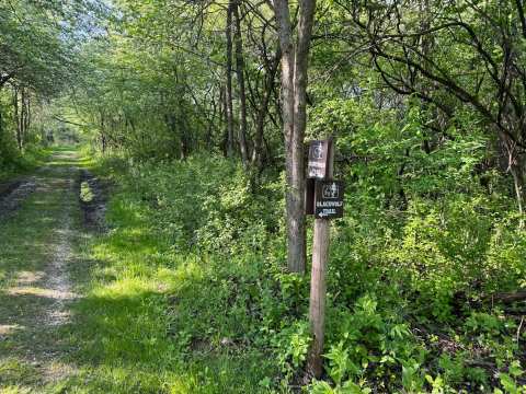 River Wildlife Hiking Trails — photo 3