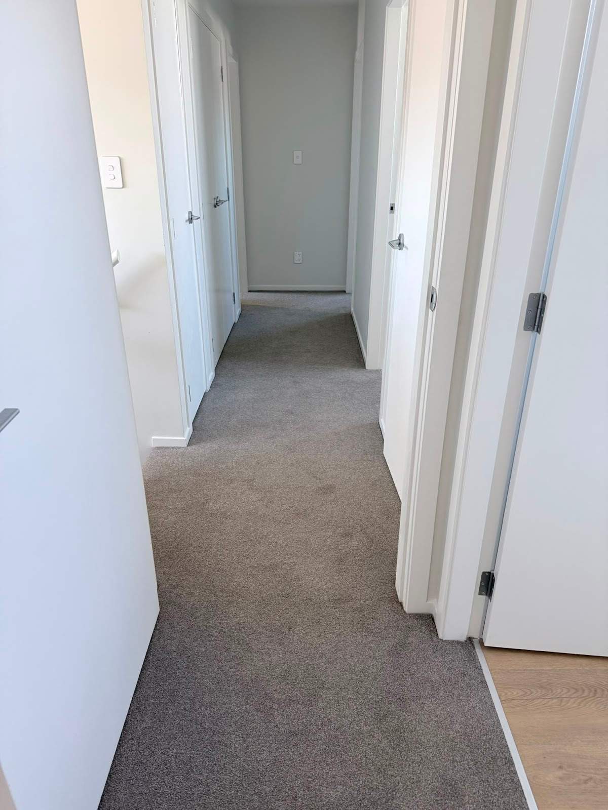 Professional Cleaning — photo 1