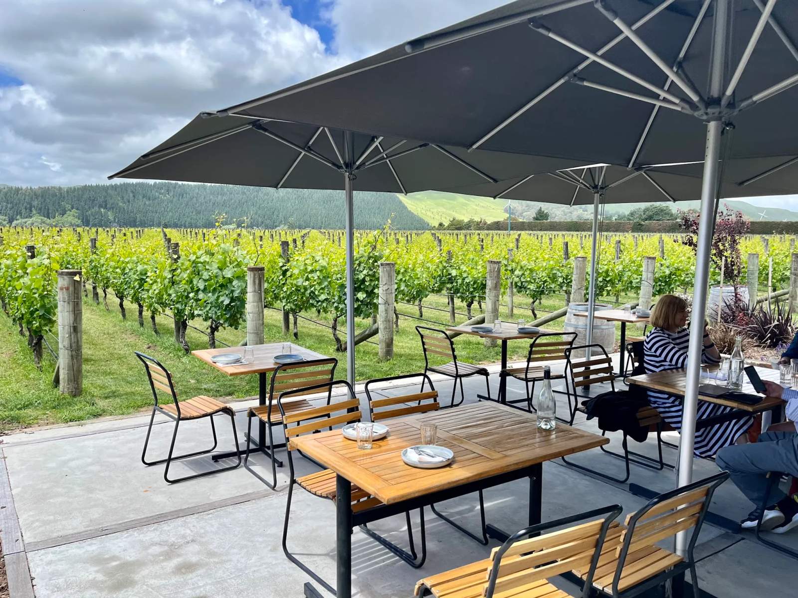 Moy Hall Vineyard — photo 1