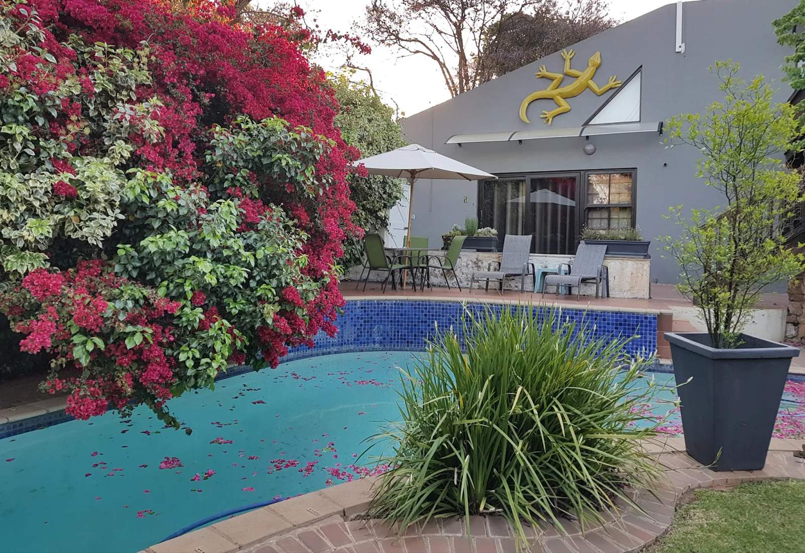 Lucky Bean Guesthouse — photo 1
