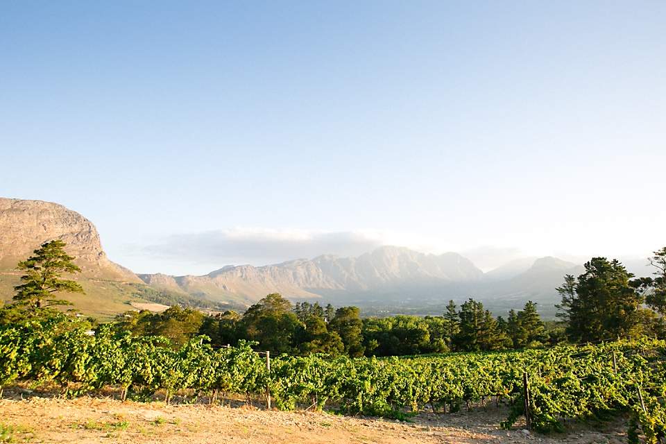 Dieu Donné Vineyards Cellar & Tasting Room — photo 1