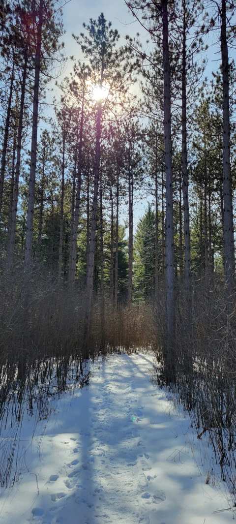 Ice Age Trail Greenbush Trailhead — photo 3