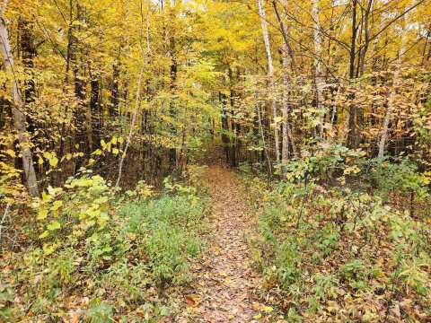 Ice Age Trail Greenbush Trailhead — photo 2