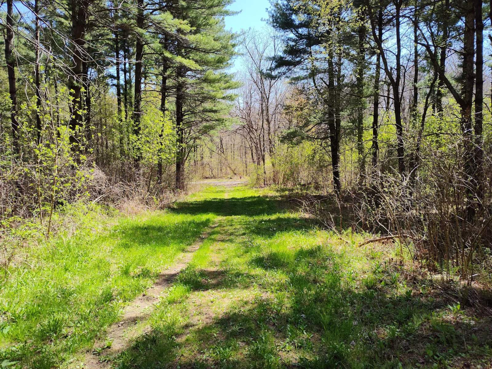 Ice Age Trail Greenbush Trailhead — photo 1