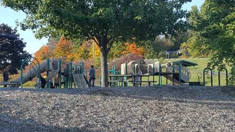 Meadowview Park — photo 2