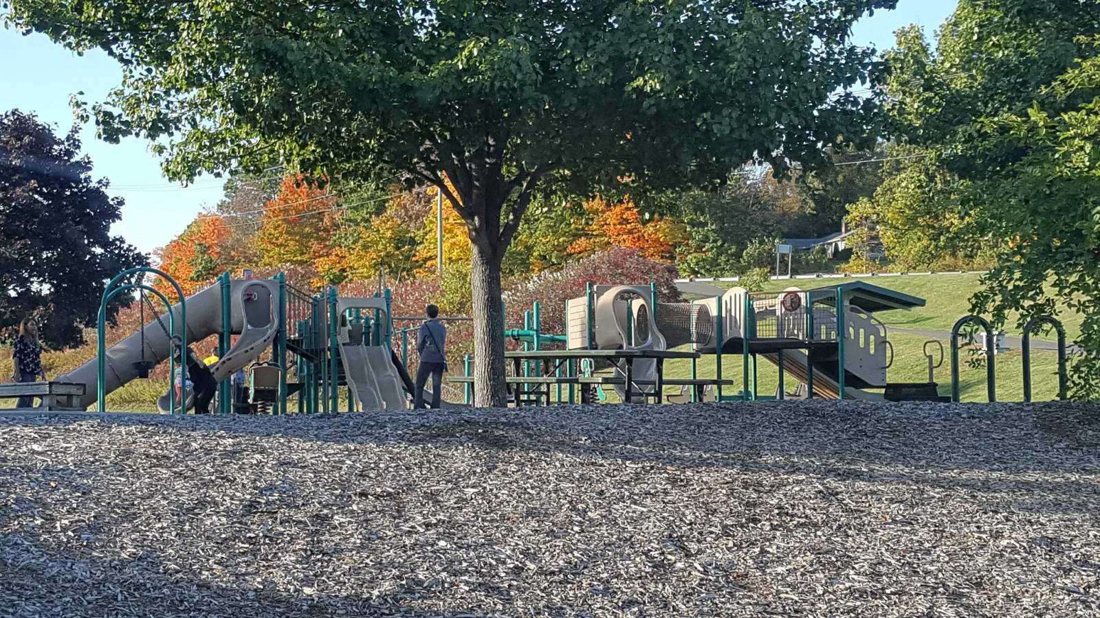 Meadowview Park — photo 2