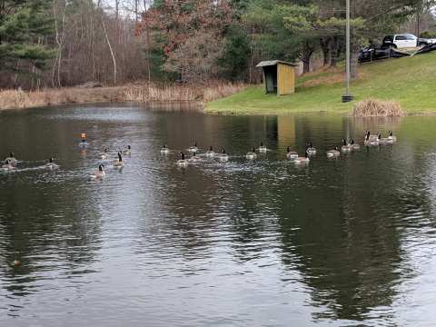 Meadowview Park — photo 3