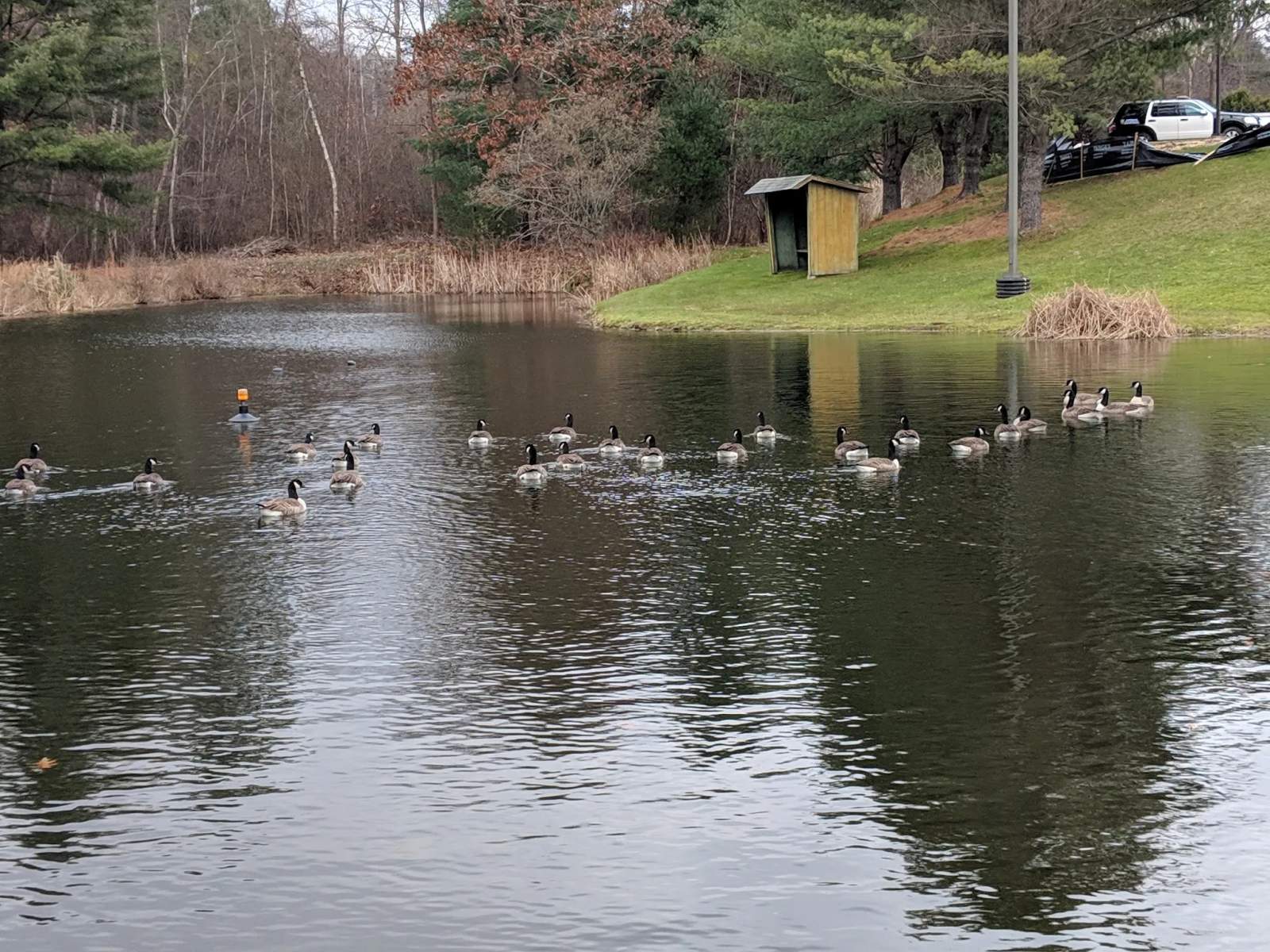 Meadowview Park — photo 3