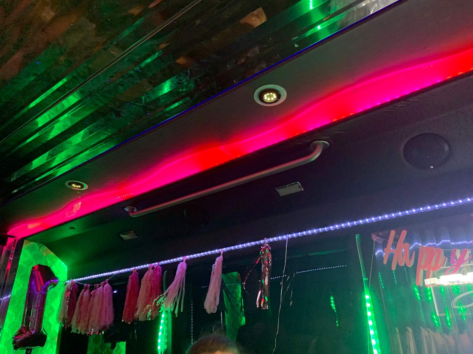 Cruise-A-Palooza Party Bus — photo 4