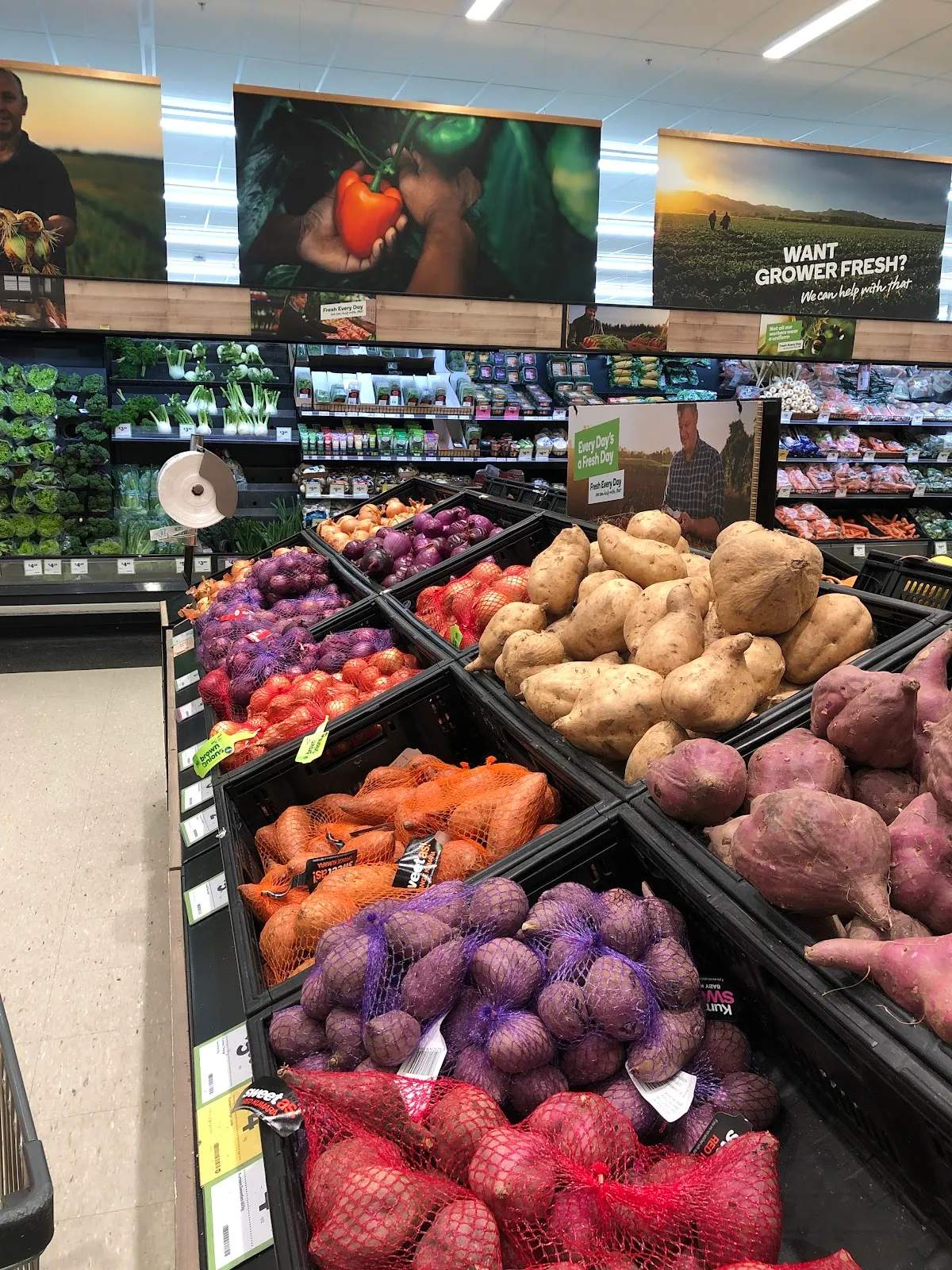 Woolworths Crofton Downs — photo 2