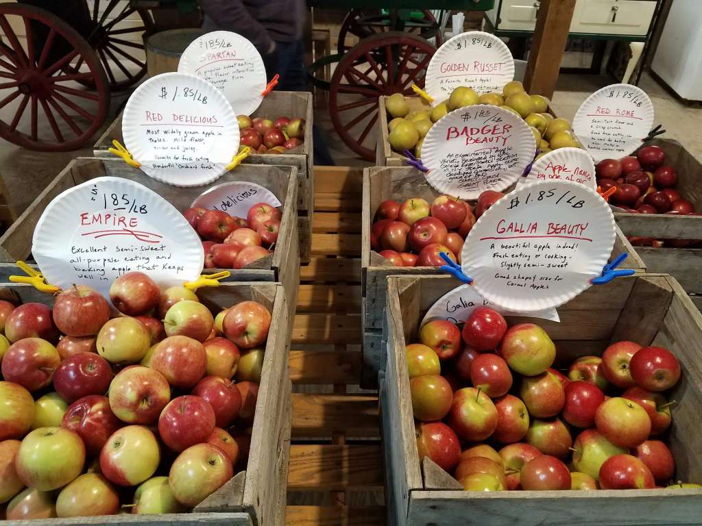 Brightonwoods Orchard