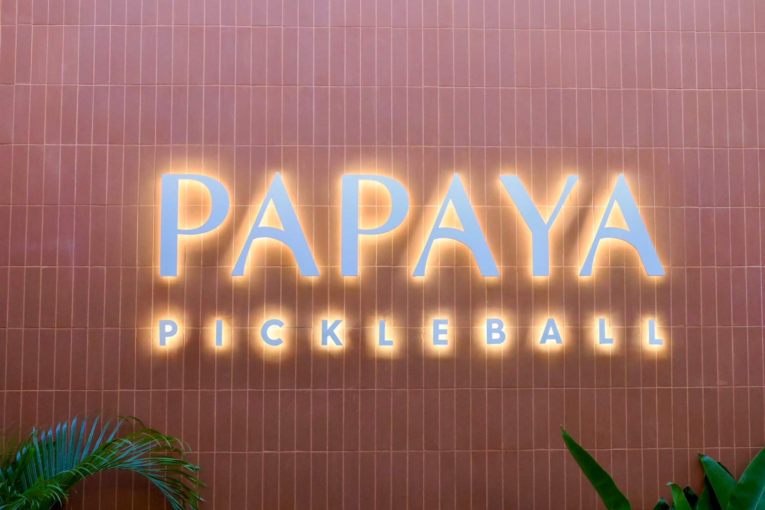 Papaya Pickleball Club — photo 1