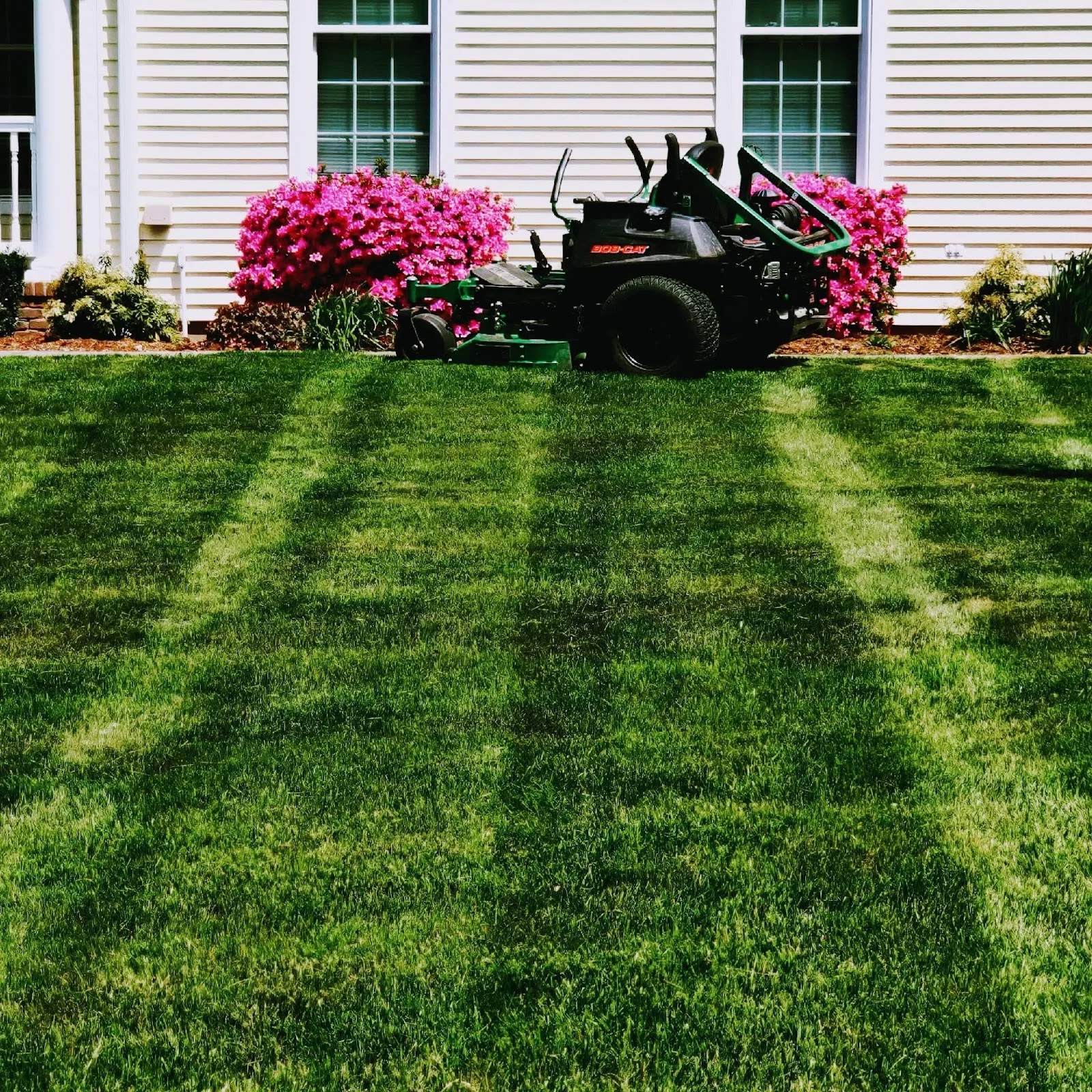 Transylvania Turf — photo 1