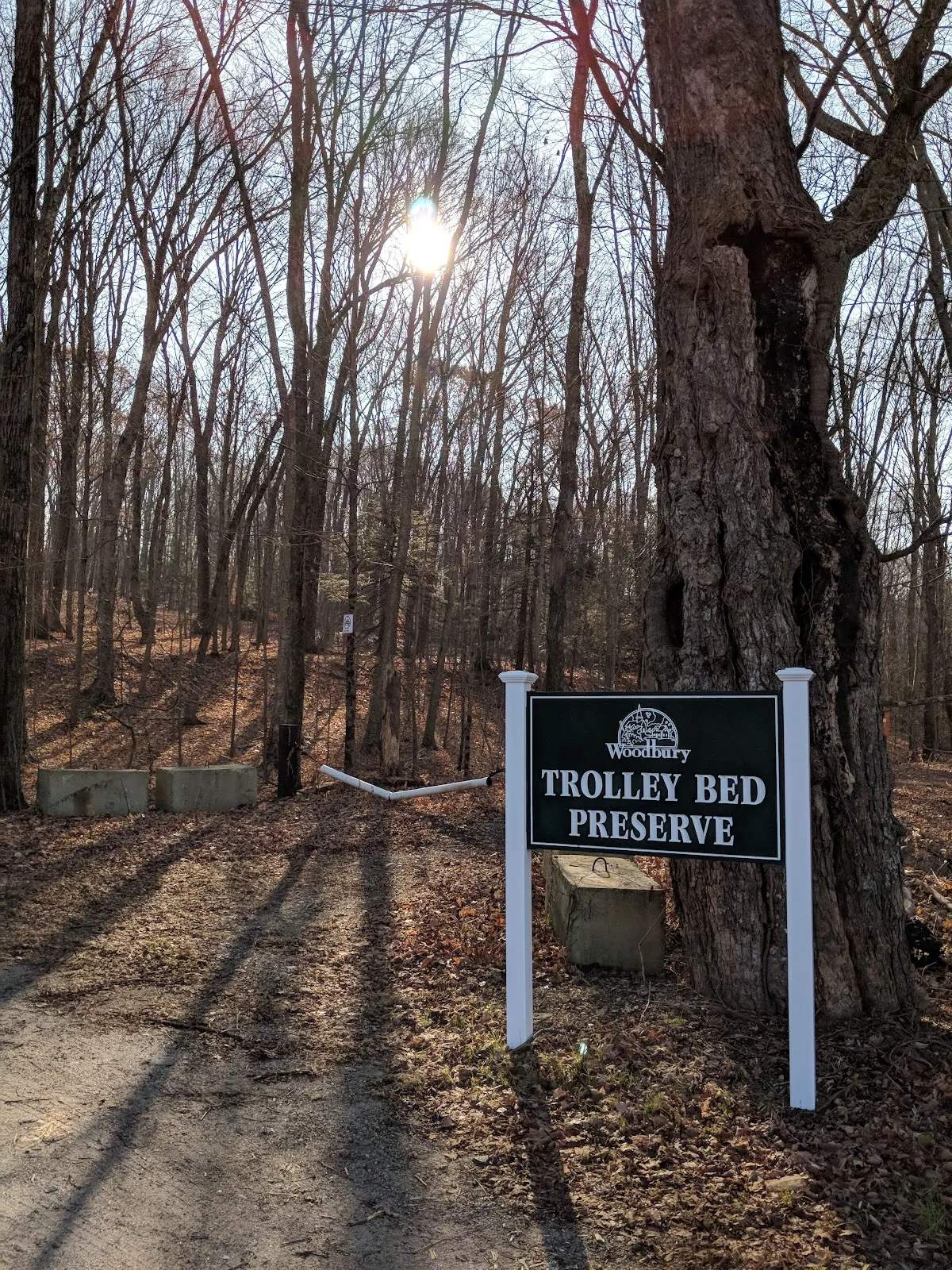 Trolley Bed Preserve — photo 1