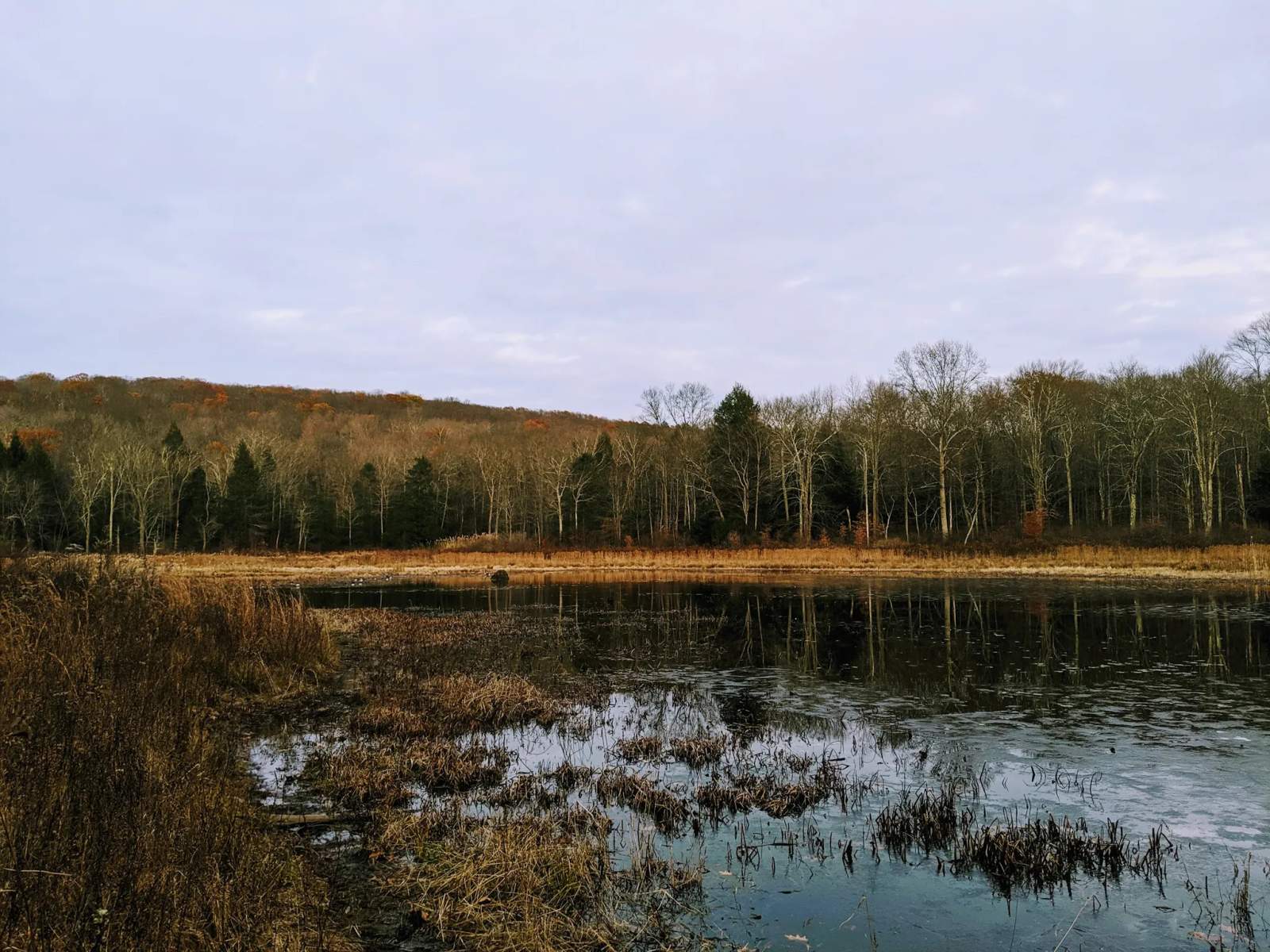 Trolley Bed Preserve — photo 3