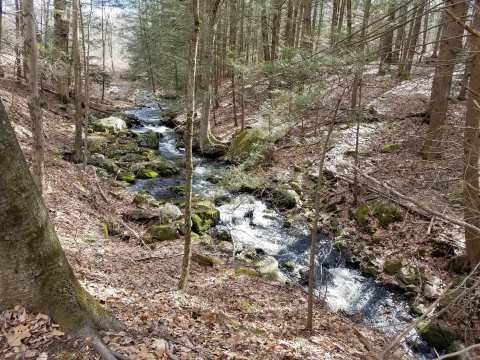 Trolley Bed Preserve — photo 2
