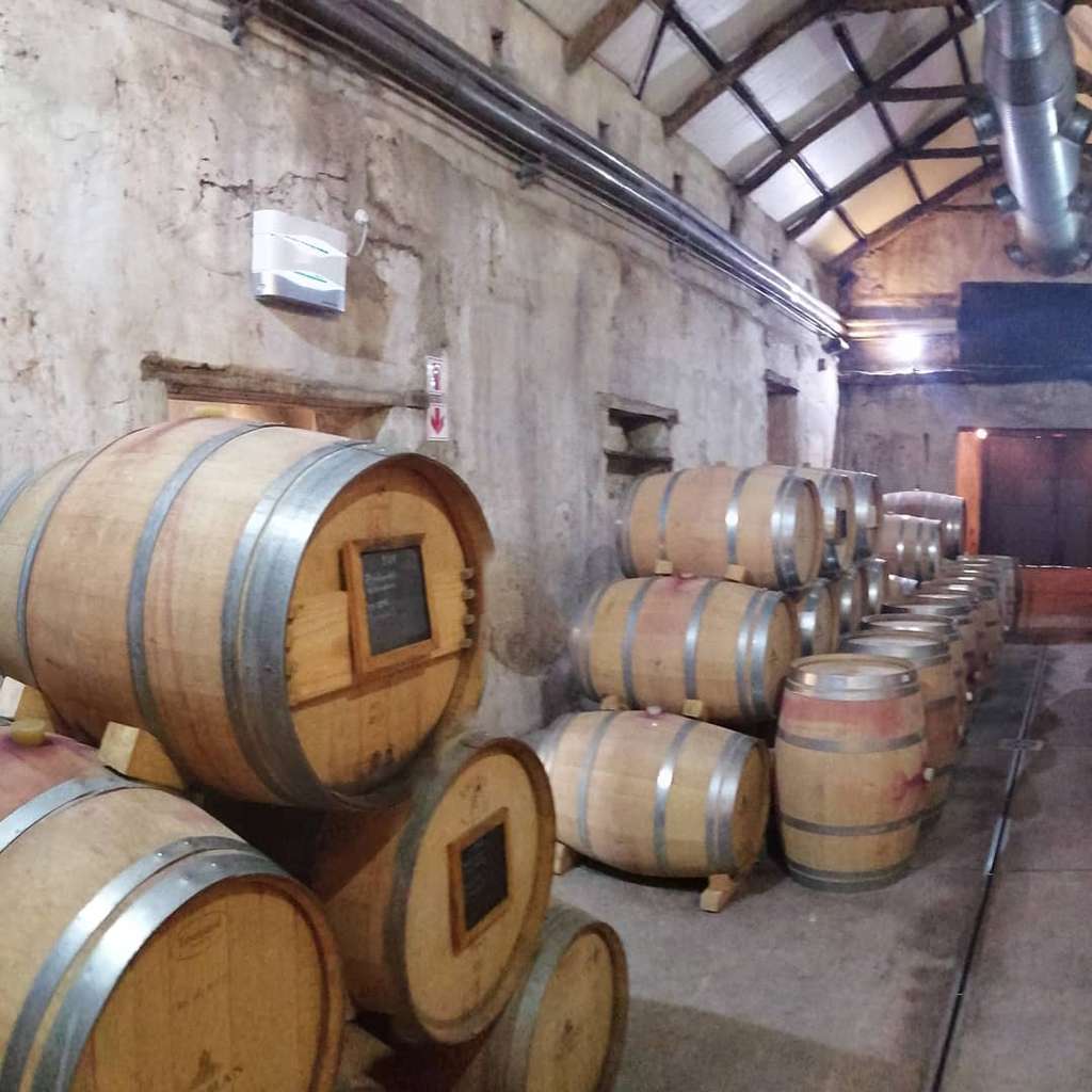 Winelands Sight Seeing Travel and Tours