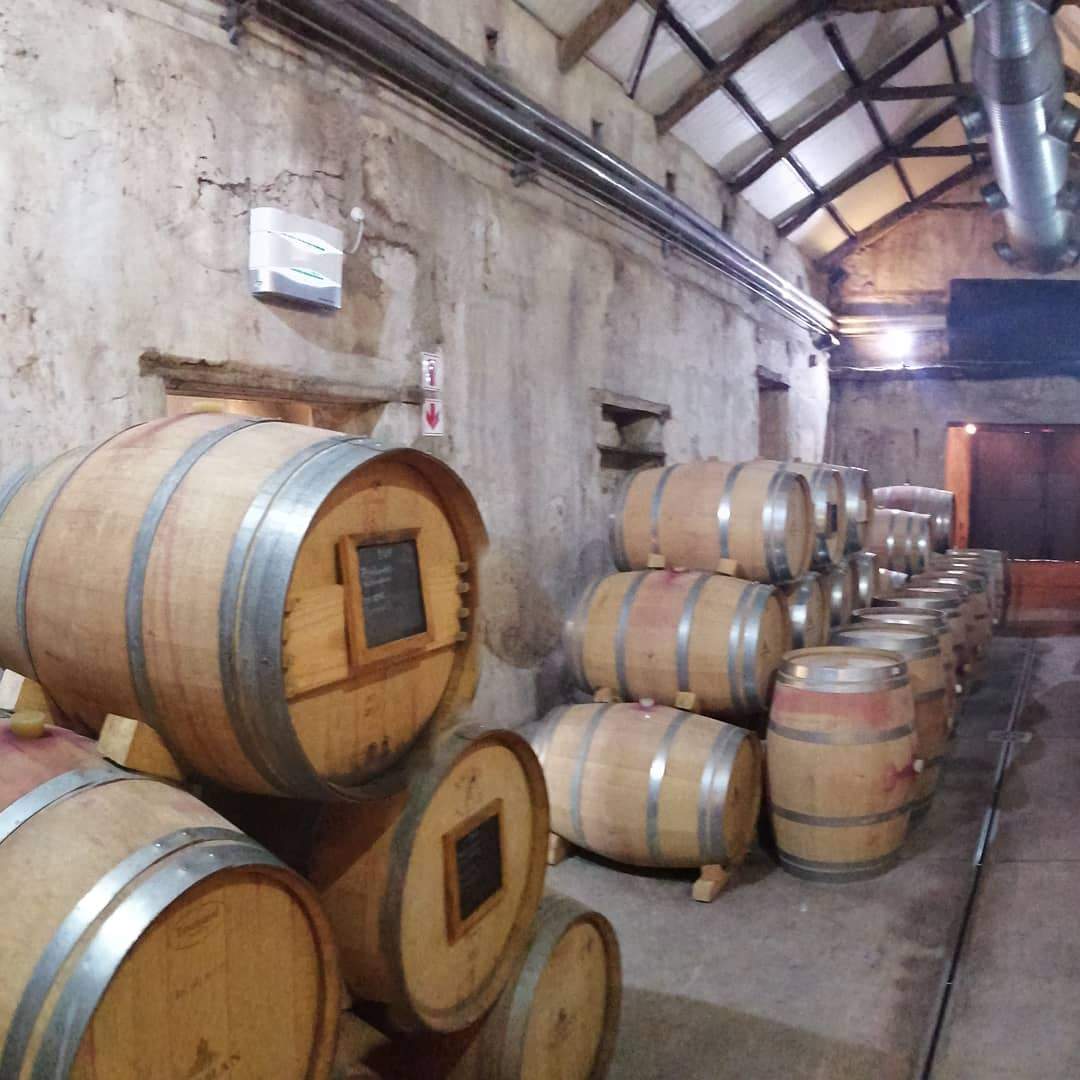 Winelands Sight Seeing Travel and Tours — photo 1