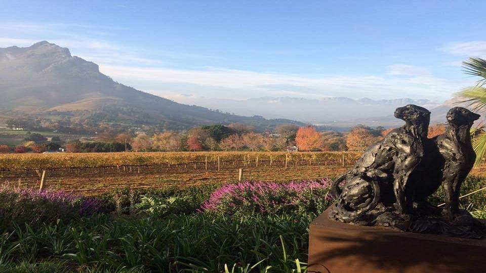 Winelands Sight Seeing Travel and Tours — photo 2