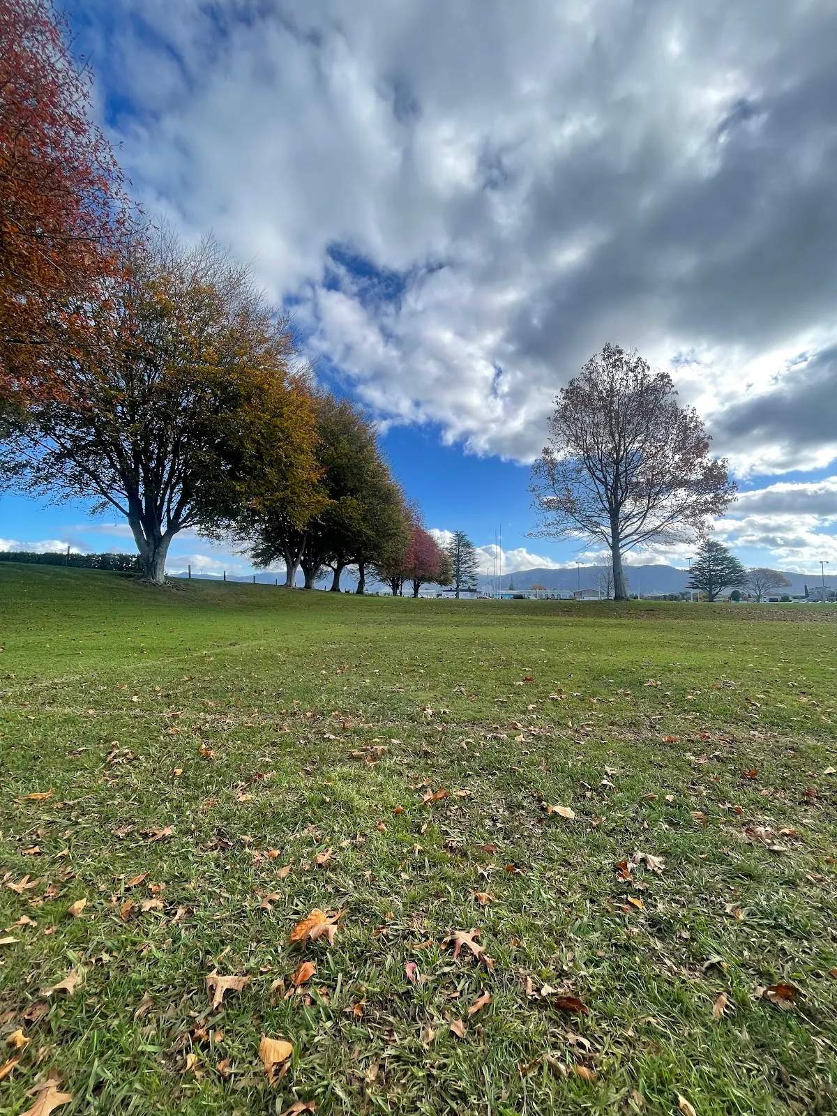 Moore Park — photo 1