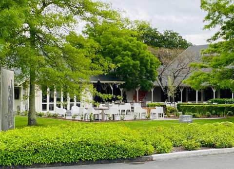 Palliser Estate Winery — photo 3