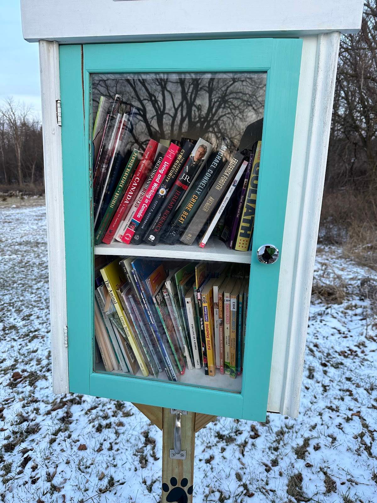 Little Free Library — photo 1