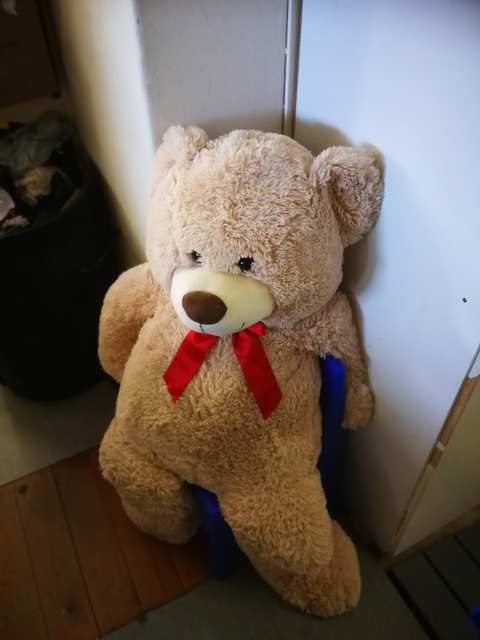 Hospice Shop — photo 3