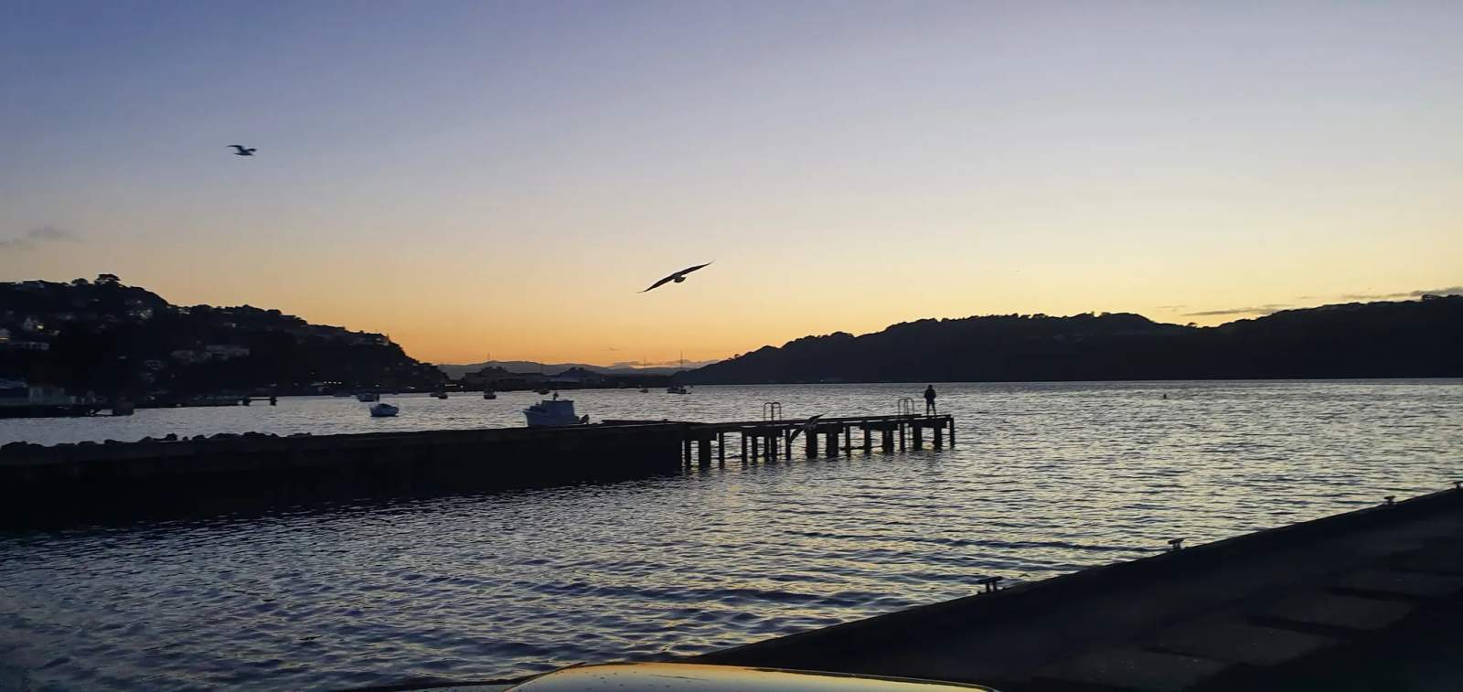 Evans Bay Boat Ramp — photo 3