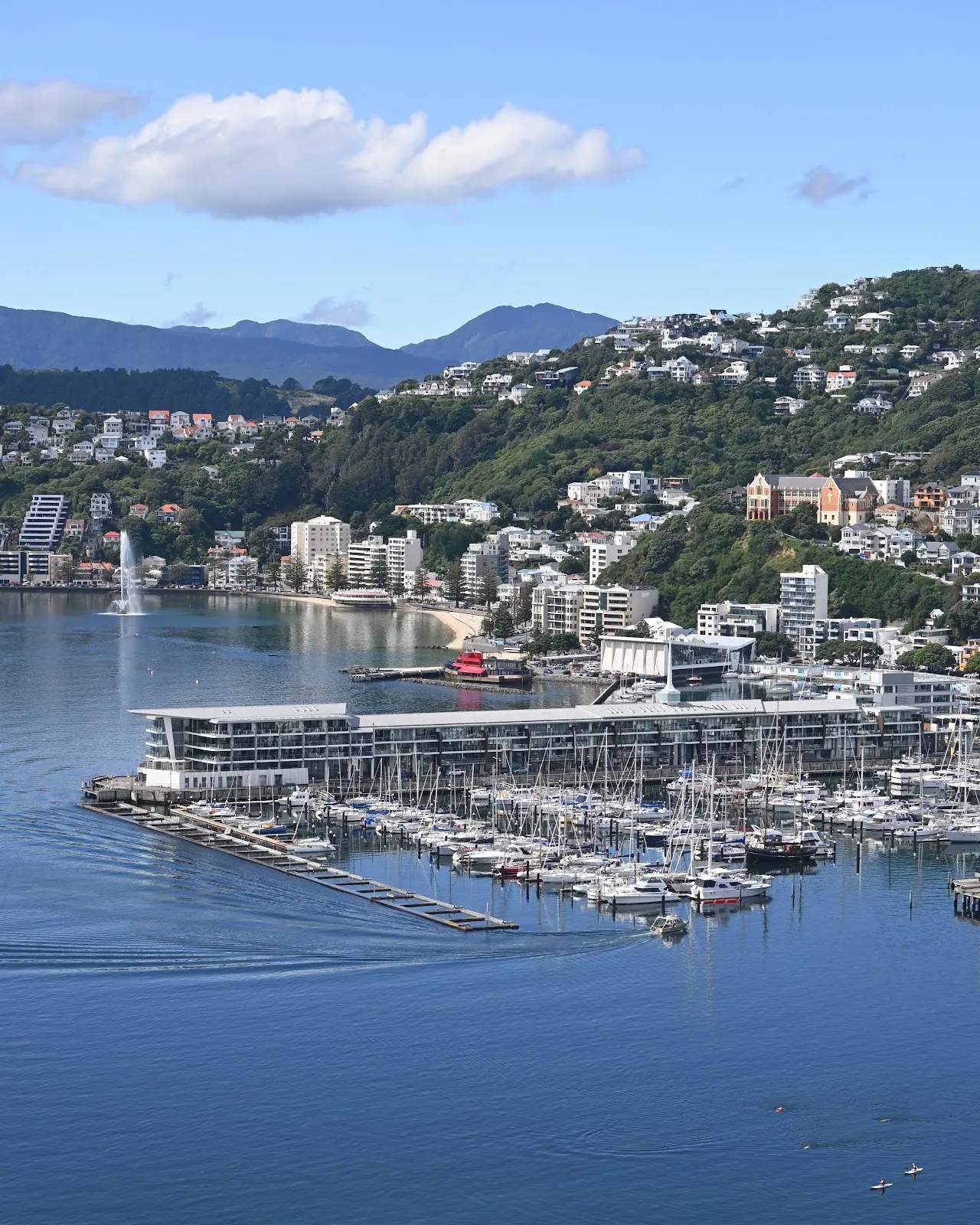 Chaffers Marina — photo 2