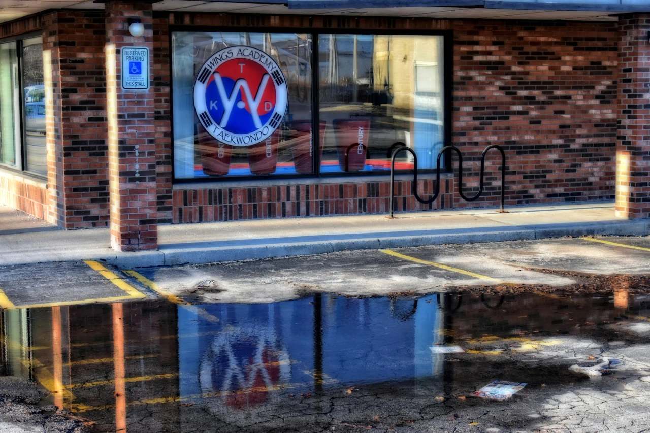 Wings Academy Taekwondo — photo 1