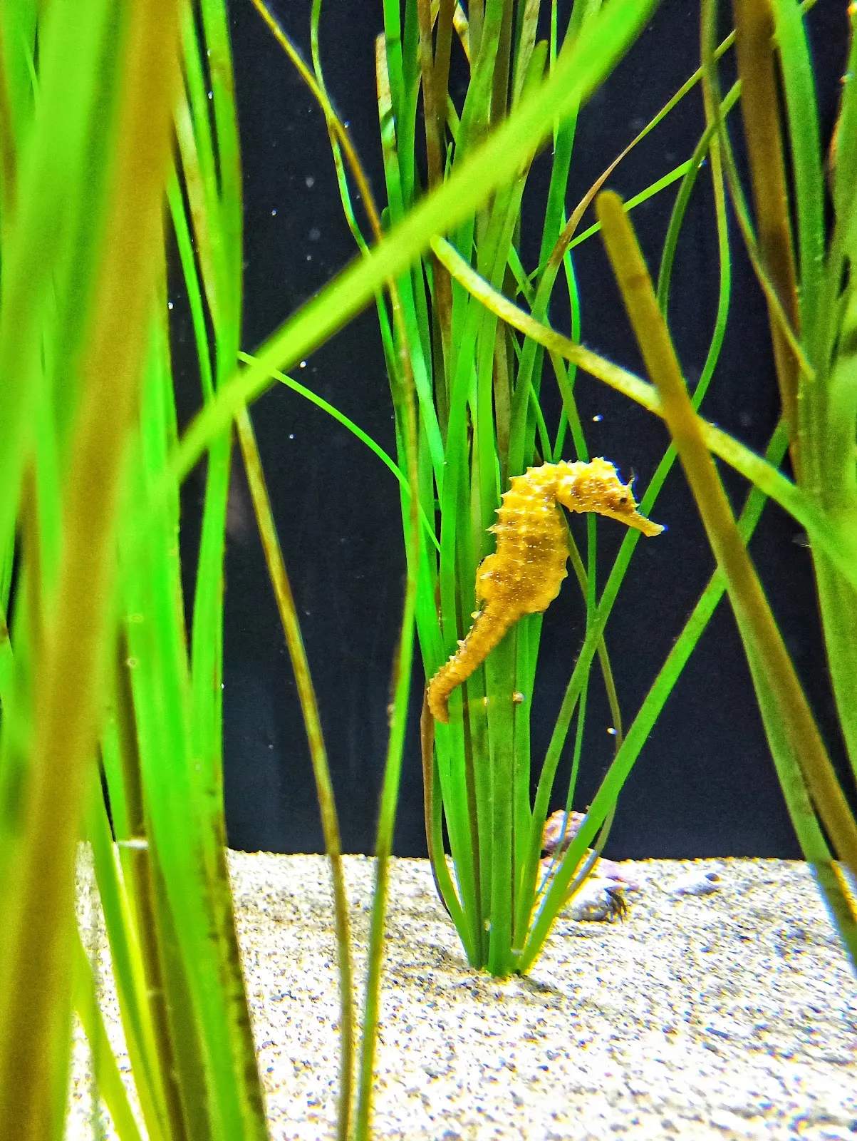 Biodiversarium — photo 1