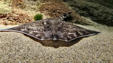 Biodiversarium — photo 3